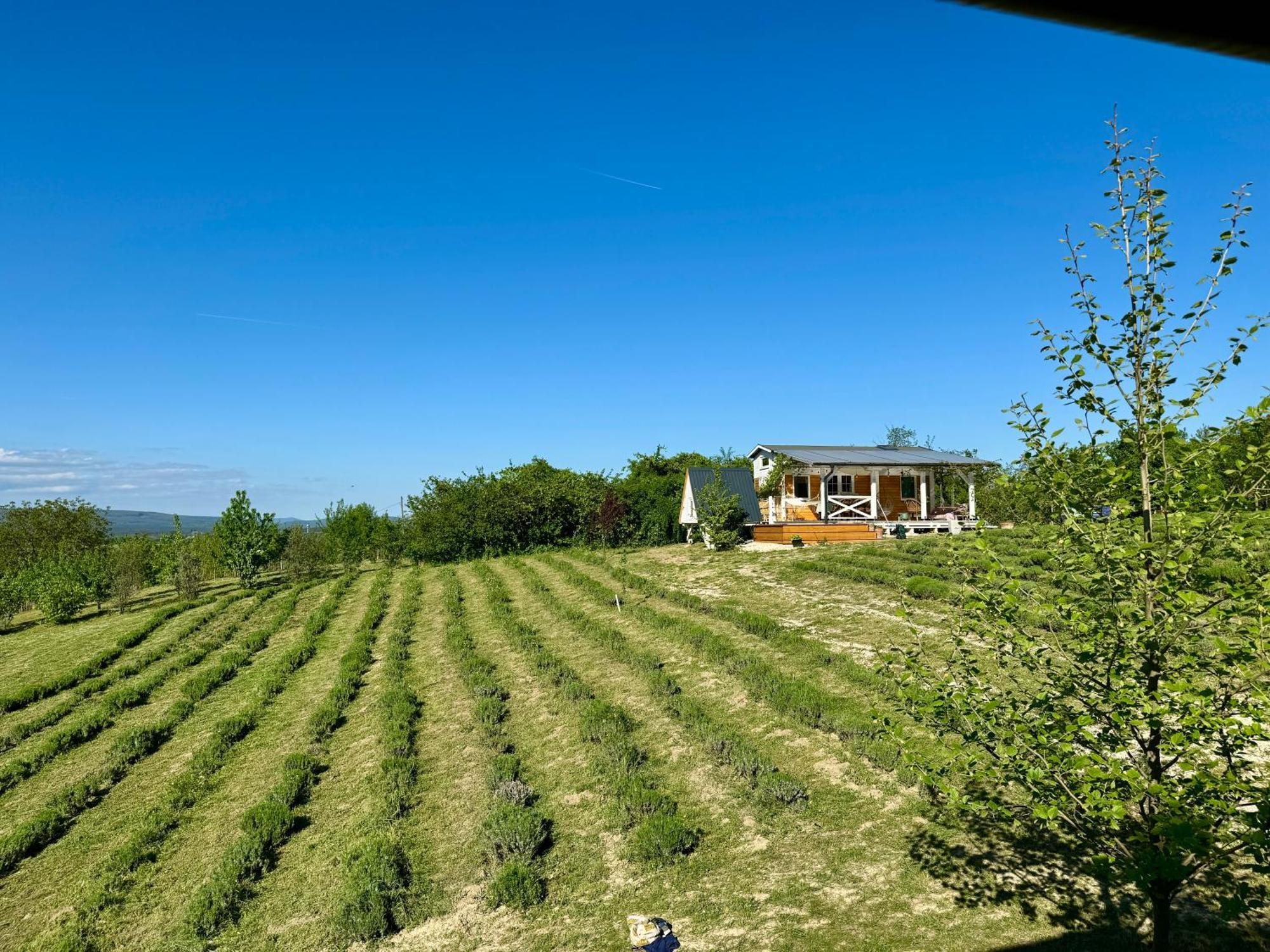 Bohemian Eco At Balaton * Kisapati